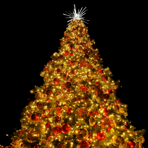Brightening Cities & Municipalities: The Magic of Seasonal Decor with We Sell Christmas Lights