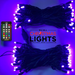 50-count 5MM RGB mini lights on green cord with 6 inch spacing for indoor and outdoor use