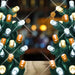 LED Mini Lights 5MM Amber, Warm White, Cool White Twinkle on Green Wire with 6 Inch Spacing