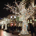 LED Mini Lights 5MM Amber, Warm White, Cool White Twinkle on Green Wire with 6 Inch Spacing