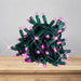 LED Mini Lights 5MM Pink Twinkle Green Wire with 6 inch spacing on green wire strand
