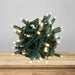 LED Mini Lights 5MM Warm White Twinkle on Green Wire with 6 Inch Spacing