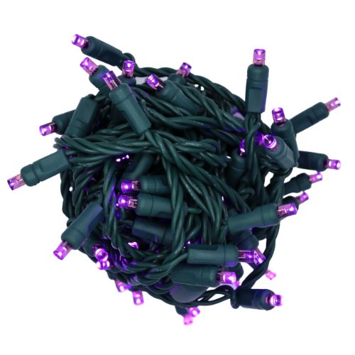 Purple LED Mini Lights strand with 50 bulbs spaced 6 inches apart on green wire