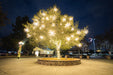 Warm white LED Spritzers decorative spheres for holiday lighting