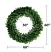 Oregon Wreath with dense green branches for holiday decoration
