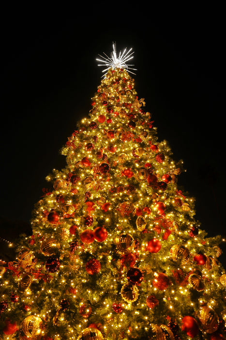 Pre-lit Tower Tree with bright LED lights and sturdy metal frame for outdoor holiday decoration
