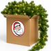 Green Garland with Warm White Lights 99 feet by 8 inches